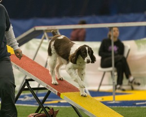 20150321-LEAP-1436.jpg