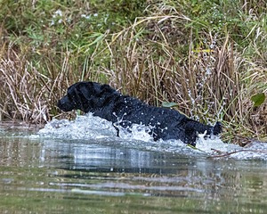 Taylor Hoagland