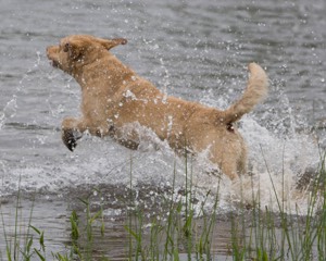 20080531-HRW-0019.jpg