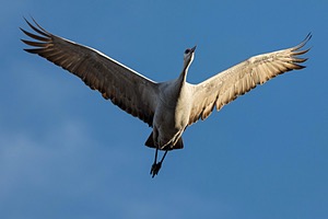 20151210-0464.jpg