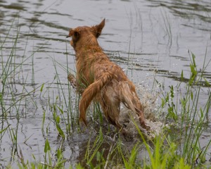 20080531-HRW-0201.jpg