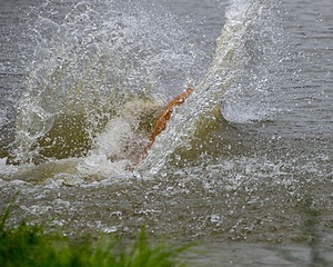 River Snyder