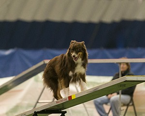 20150321-LEAP-0950.jpg