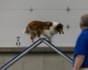 Relay Spooner
