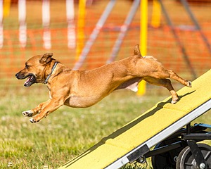 20180617-0006.jpg