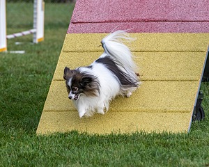 20200819-0071.jpg