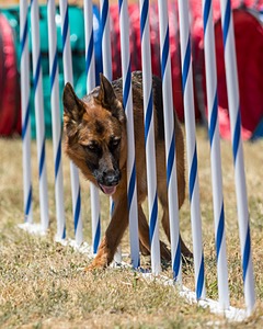 Yasha Hunt