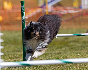 20180617-0574.jpg