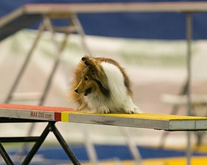 20150321-LEAP-1624.jpg