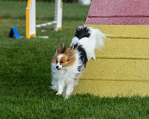 20200819-0065.jpg