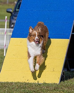20230917-PVKC-2053.jpg