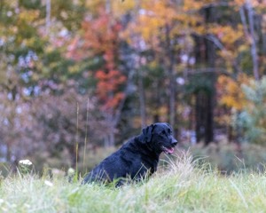 20211010-WCXL-0158.jpg