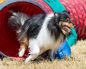 20160619-CCKC-0541.jpg