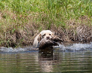 20130602-SEAW-0035.jpg