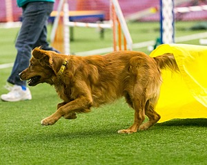 20150322-LEAP-0409.jpg