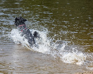 Rio Peter