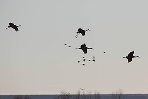 20151205-0611.jpg