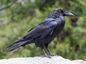 20170210-0009.jpg
