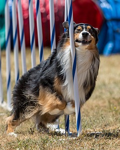 20160618-CCKC-1626.jpg
