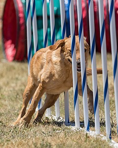 20160618-CCKC-1500.jpg