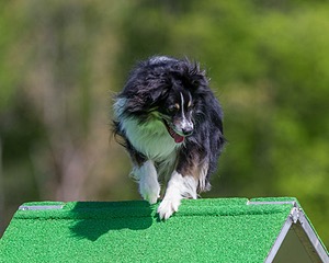 20170521-NEAT-0379.jpg