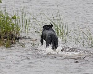 20080531-HRW-0653.jpg
