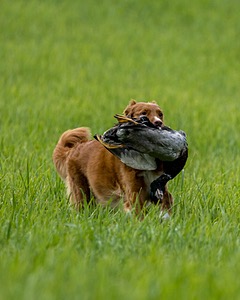 20220604-SHL-1308.jpg