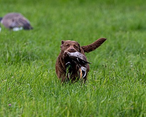 20170603-SHRL-0899.jpg