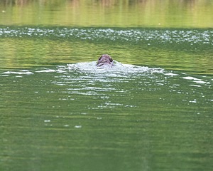 20210725-SHW-0025.jpg