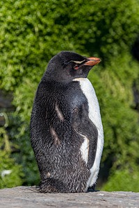 20191212-0267.jpg