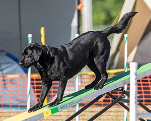 20160618-CCKC-2478.jpg