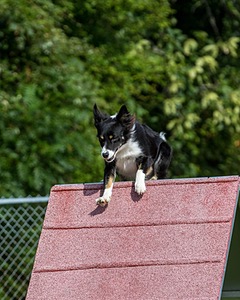 20200819-0681.jpg