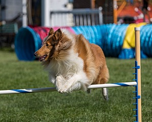 20200819-2297.jpg