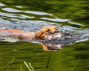 20170604-SEAW-0007.jpg