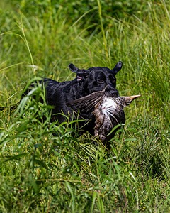 20160717-WCXW-0037.jpg