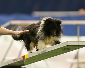 20150321-LEAP-1704.jpg