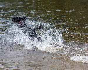 Rio Peter