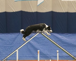 20150321-LEAP-0862.jpg