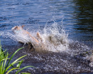Rio Drager