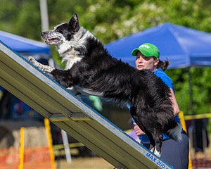 20180617-0285.jpg