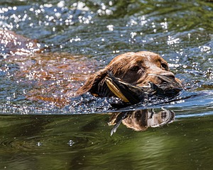 20170716-WCXW-1281.jpg