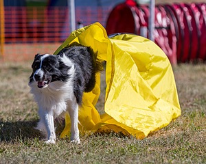 20160618-CCKC-0077.jpg