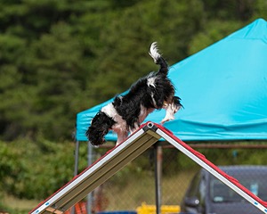 20150612-CCKC-0195.jpg