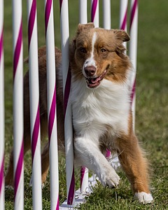 20230916-PVKC-1273.jpg