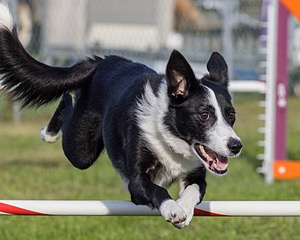20230916-PVKC-1633.jpg