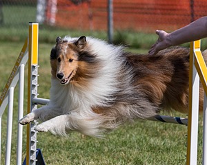 20200819-0664.jpg