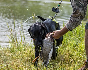 KOTA Cushing