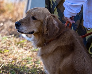 Hazel Boncek