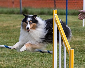 20200819-0270.jpg