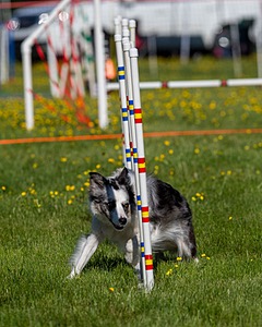 20170520-NEAT-0104.jpg